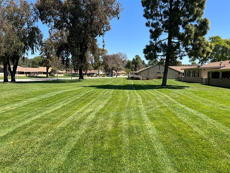8107 Village 8 — Photo 13
