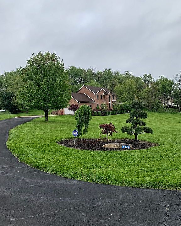 Driveway View
