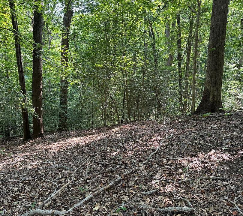1st image of 4685 Camp Roosevelt Dr