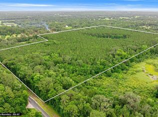 TBD NW 160TH ST, REDDICK, FL 32686