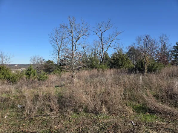 112 Black Forest Lane, Branson West, MO 65737