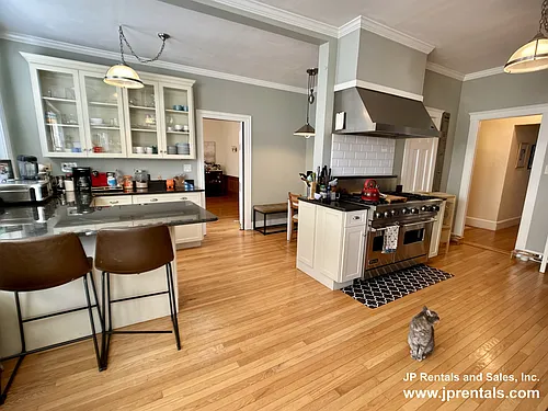 476 Jamaicaway #2 Photo 1