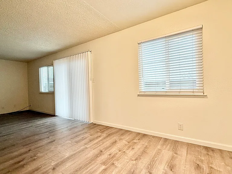 633 Stewart St #6 — Photo 4