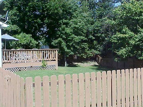 BACKS TO TREES