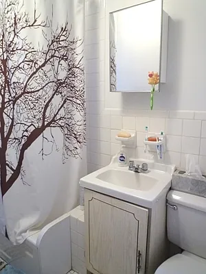 Rented by New York Quality Living Downtown | media 25