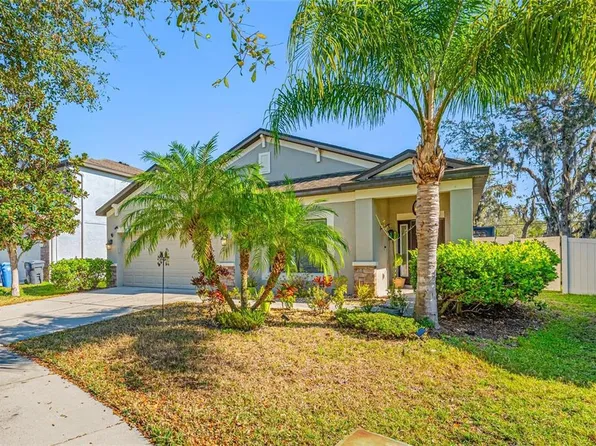 11652 Palmetto Pine St, Riverview, FL 33569