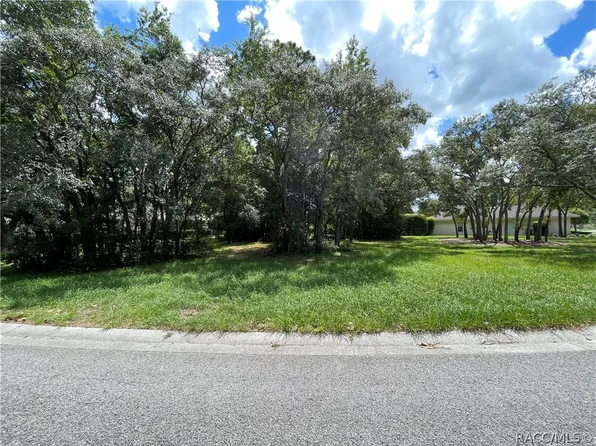 3421 N Bent Tree Point, Lecanto, FL 34461