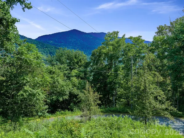 63-65 Bear Ridge Rd, Bakersville, NC 28705