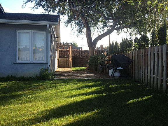 Fenced yard with big trees