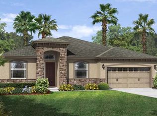 29132 Grass Bunker Dr, San Antonio, FL 33576