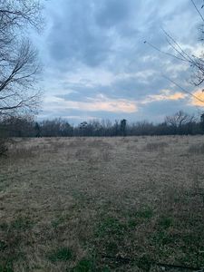 Champion Rd, Hector, AR, 72843