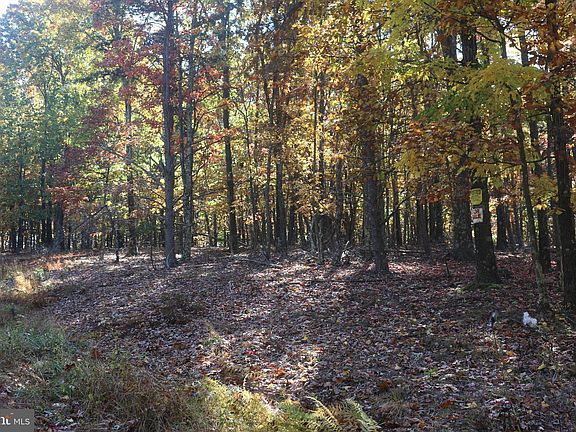 5th image of 6.75 Acres Canyon Crk