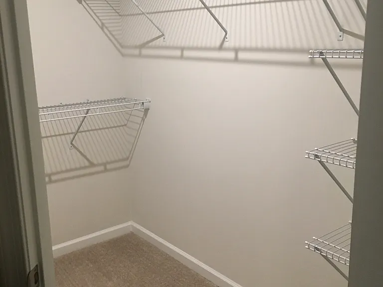 2425 Pocoson Wood Ct — Photo 5