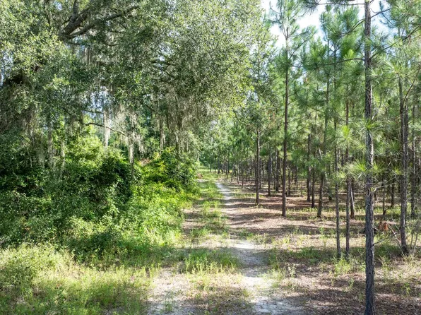 County Road 252, Wellborn, FL 32094