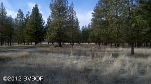 Easy land to build on...