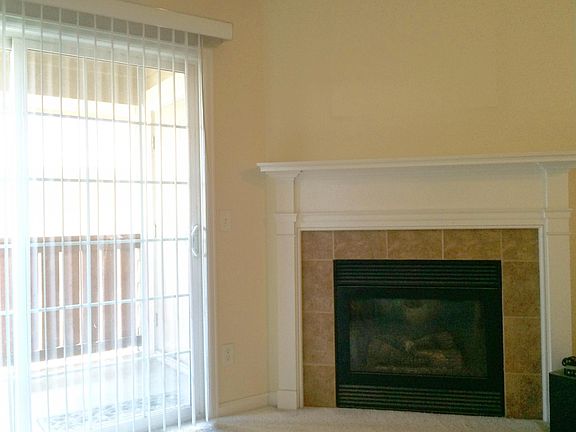 Fireplace and patio/deck