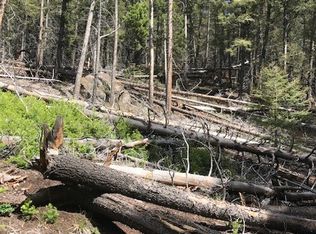 Tbd Blacktail Cyn, Butte, MT 59701