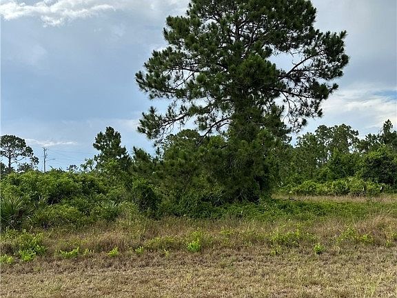 3rd image of 1243 Edelweiss St E