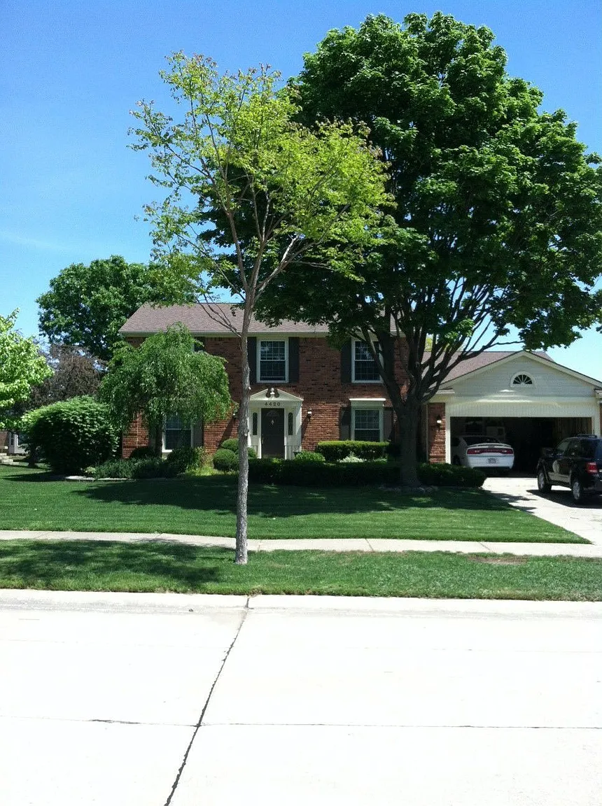 4420 Cahill Dr photo 1