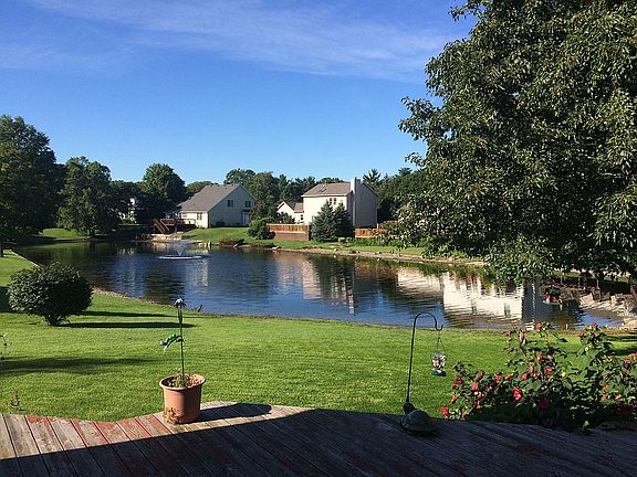 Our back yard