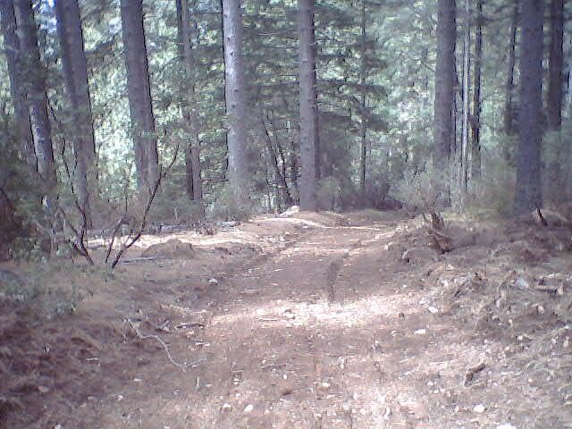 1st image of 11980 Pine Summit Dr
