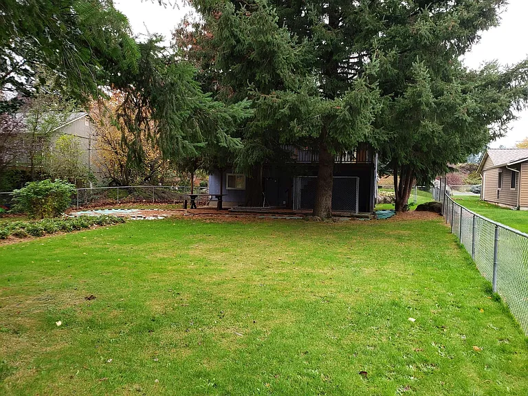 yard