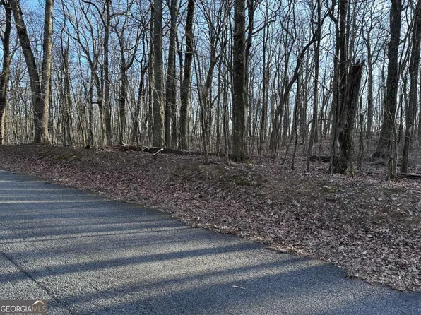 183 Saint Andrews Way, Ellijay, GA 30536