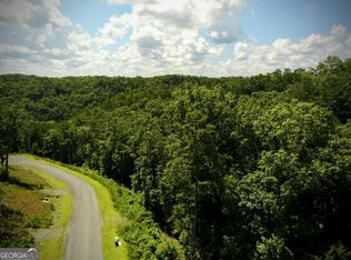 79 River Overlook Ln S, Ellijay, GA 30540