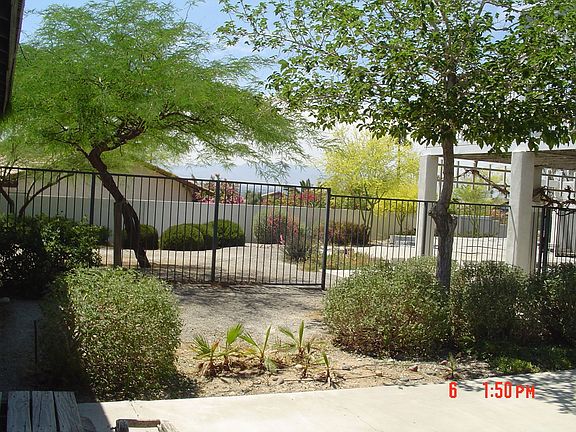 Back yard 2