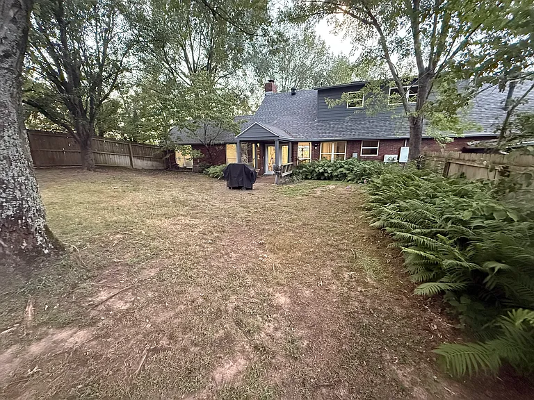 Backyard.