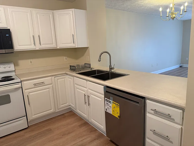 1290 Orange Leaf Ct — Photo 13