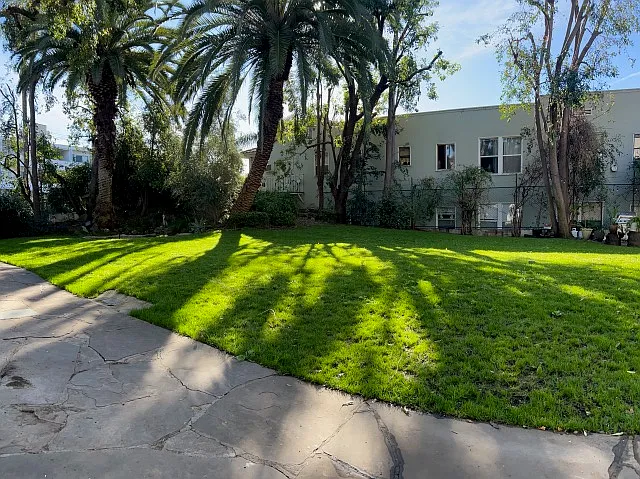 1 bed, 750 sqft, $2,650 — Photo 4