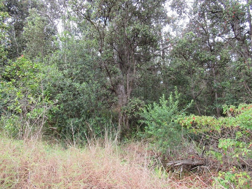 1st image of Lehua Ln Lot 12