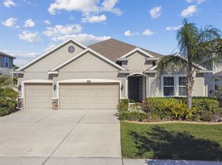 32397 Bannack Ln, Wesley Chapel, FL 33543