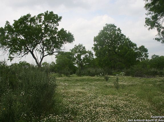 2nd image of FM 462 S FM 462 S