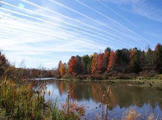 Upton Rd, Ovid, MI 48866