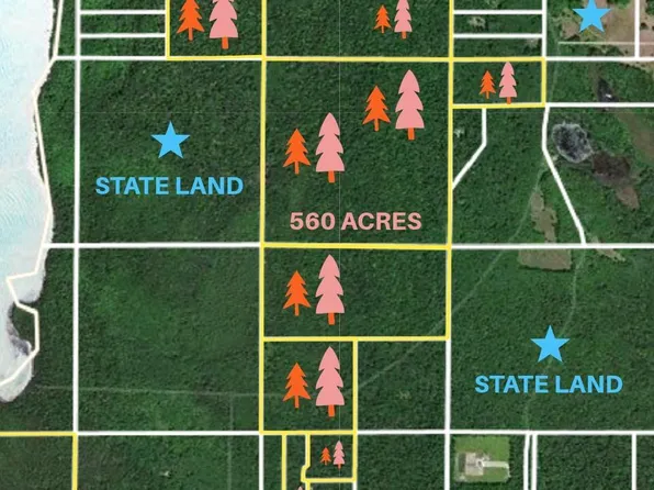 Beaver Island Rd, Beaver Island, MI 49782