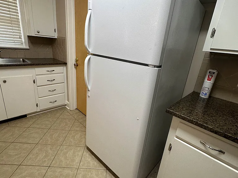 Kitchen Fridge and counter space