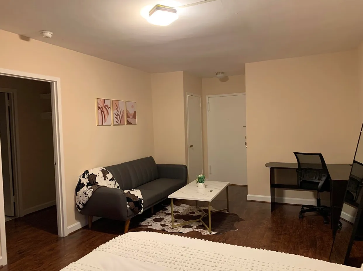 Studio, 378 sqft, $1,600 — Photo 1