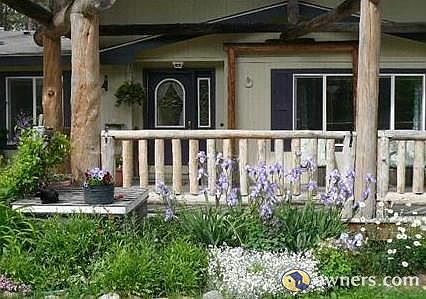 Some of the Flowers in Front of the Home