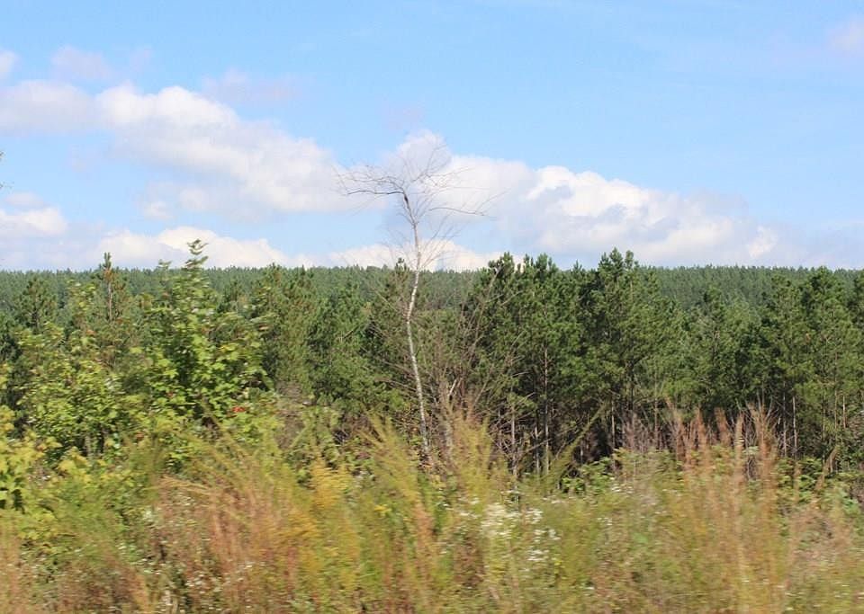 1st image of 0 Shut In Gap Rd Lot 9