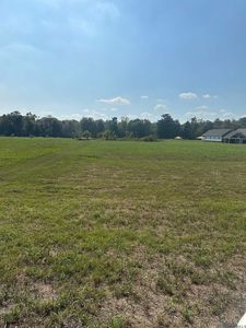 B 2 Island Rd, Jarreau, LA, 70749