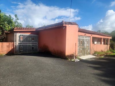 Las Tejas #917, Las Piedras, PR, 00771