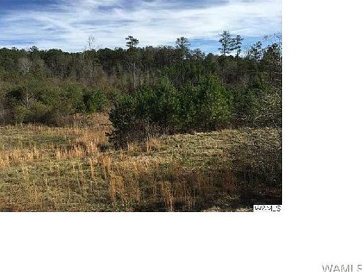 2nd image of 7290 Charlie Shirley Rd