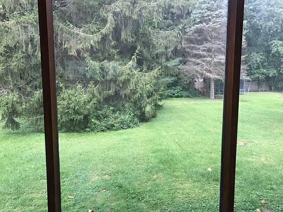 Backyard View