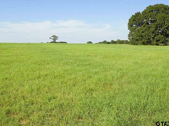 5th image of 1999 County Road 3605