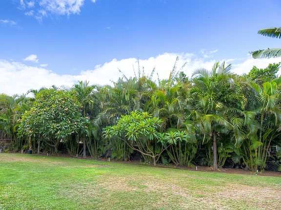 Lush and Private Yard