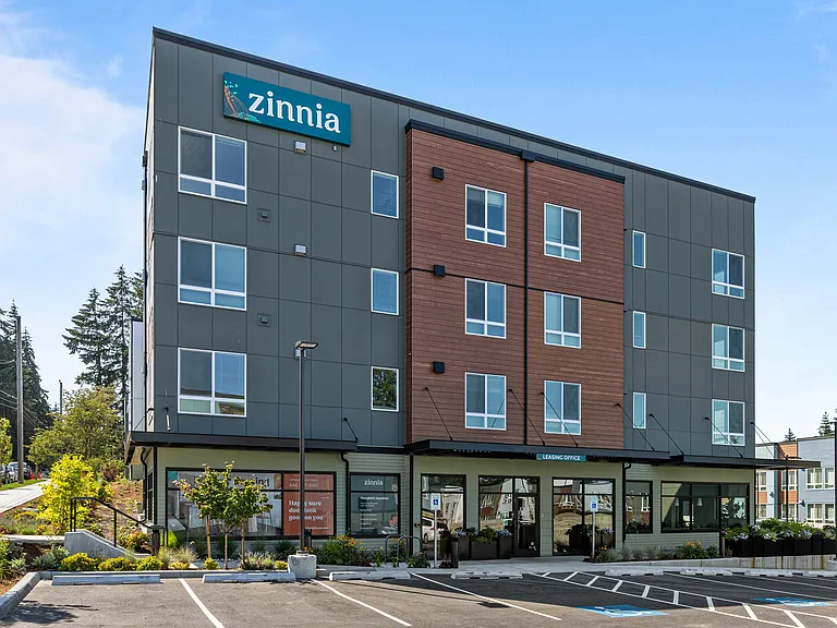 Zinnia — Photo 41