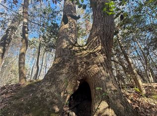 110 Watt Rogers Rd, Pelzer, SC 29669