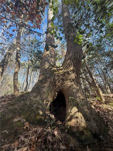 110 Watt Rogers Rd, Pelzer, SC, 29669